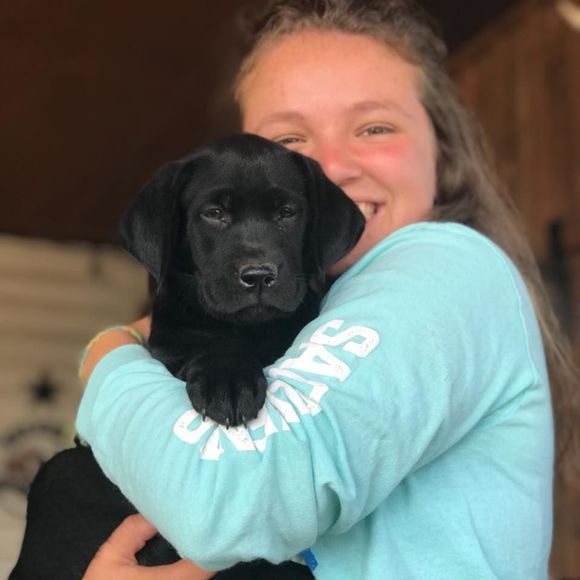 Meet your Posher, Ruby - Picture 1 of 1